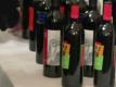 Quick Tips On Wine With Fish